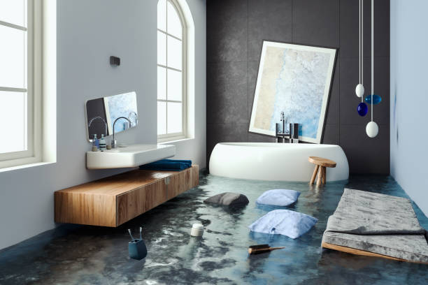 Best Water damage restoration mold remediation  in Peoria, IL