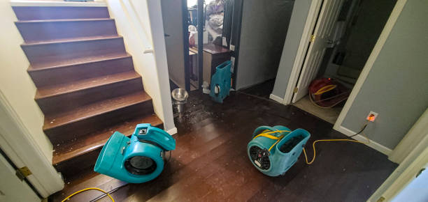Best Water damage cleanup near me  in Peoria, IL