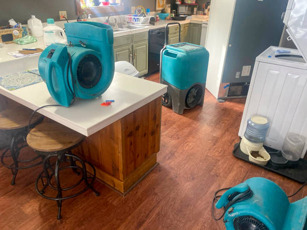 Best Residential water damage restoration  in Peoria, IL