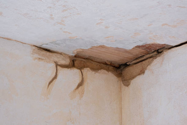 Best Water damage restoration near me  in Peoria, IL
