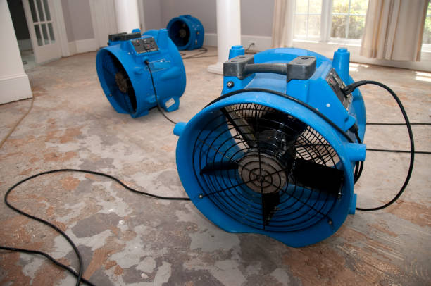 Best Water damage cleanup near me  in Peoria, IL