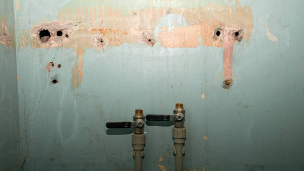 Best Emergency water damage restoration  in Peoria, IL