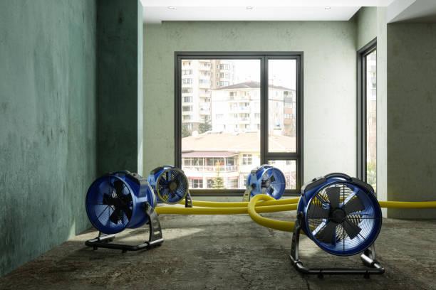 Best Carpet water damage restoration  in Peoria, IL