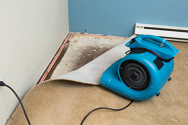 Best Flooded house restoration  in Peoria, IL